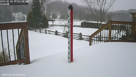 Snow 2019 animated GIF