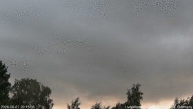 time-lapse clip preview 2026-06-07 20:15-...