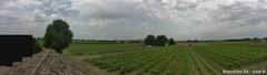 view from Boncellino Nord on 2025-06-05