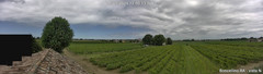 view from Boncellino Nord on 2025-07-29