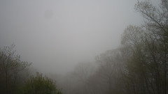 view from Sterchi Lodge on 2025-05-09