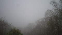 view from Sterchi Lodge on 2025-05-09