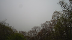 view from Sterchi Lodge on 2025-05-09