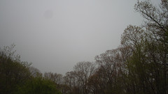 view from Sterchi Lodge on 2025-05-09