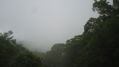 view from Sterchi Lodge on 2025-06-10