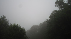 view from Sterchi Lodge on 2025-08-13