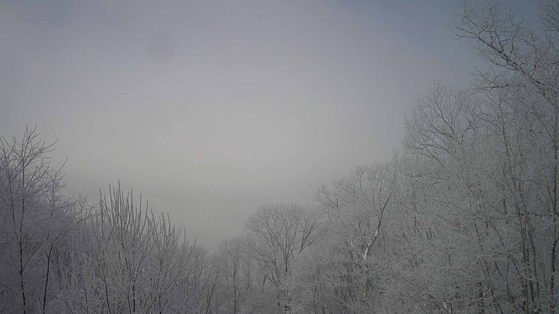 time-lapse frame, Clearing after Snow webcam