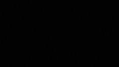 view from Sterchi Lodge on 2026-04-20