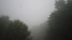 view from Sterchi Lodge on 2026-07-04
