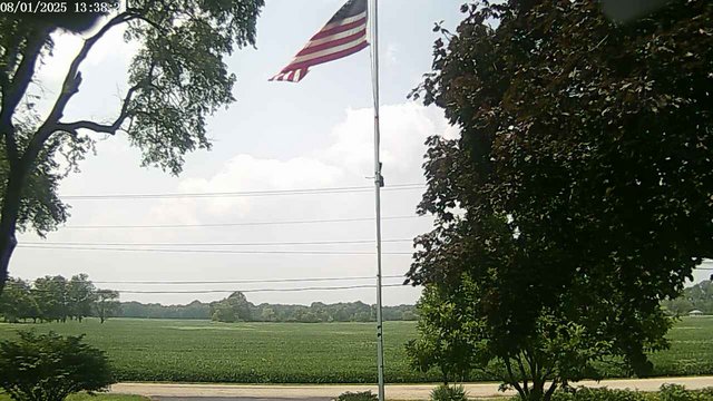 time-lapse frame, F1903P webcam