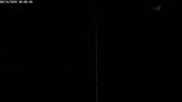 time-lapse frame, F1903P webcam