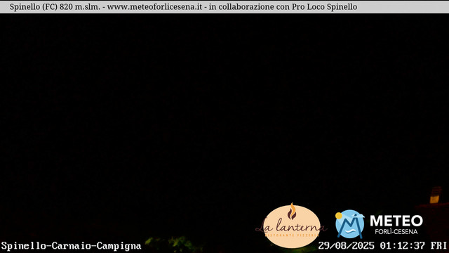 Spinello animated GIF
