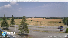 view from Ospedaletto di Bertinoro on 2025-06-16
