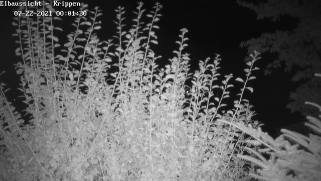 time-lapse frame, Webcam in Bad Schandau Sächsische Schweiz webcam
