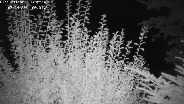 time-lapse frame, Webcam in Bad Schandau Sächsische Schweiz webcam