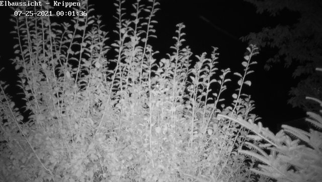 time-lapse frame, Webcam in Bad Schandau Sächsische Schweiz webcam