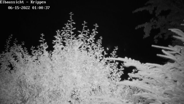 time-lapse frame, Webcam in Bad Schandau Sächsische Schweiz webcam