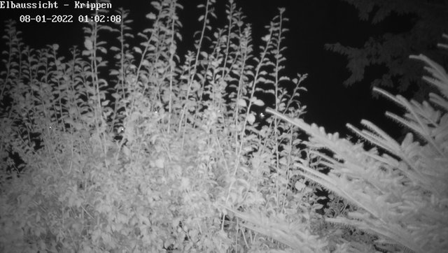 time-lapse frame, Webcam in Bad Schandau Sächsische Schweiz webcam