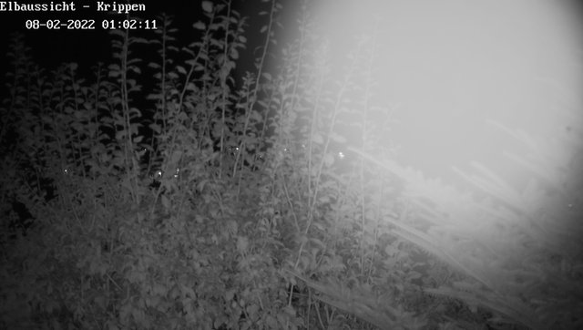 time-lapse frame, Webcam in Bad Schandau Sächsische Schweiz webcam