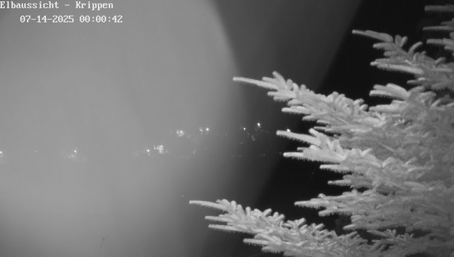 time-lapse frame, Webcam in Bad Schandau Sächsische Schweiz webcam