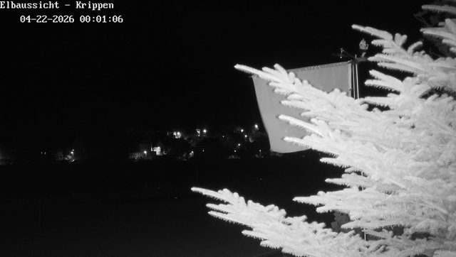 time-lapse frame, Webcam in Bad Schandau Sächsische Schweiz webcam