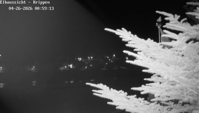 Webcam in Bad Sch... animated GIF