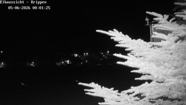time-lapse frame, Webcam in Bad Schandau Sächsische Schweiz webcam