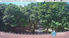 view from Monte Fumaiolo on 2025-06-16