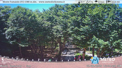 view from Monte Fumaiolo on 2025-06-29