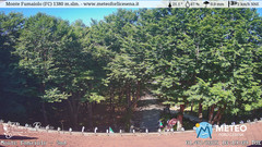 view from Monte Fumaiolo on 2025-07-01