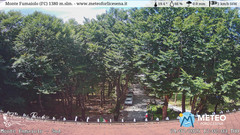 view from Monte Fumaiolo on 2025-07-24