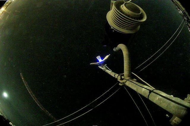 time-lapse frame, Oss. Met. di Gabicce Mare  Puntamento Zenith webcam