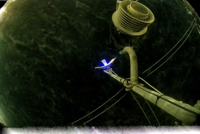 time-lapse frame, Oss. Met. di Gabicce Mare  Puntamento Zenith webcam