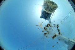 view from Oss. Met. di Gabicce Mare  Puntamento Zenith on 2026-04-11