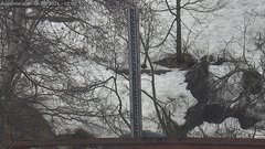 view from Alpe di Mera - Nivometro on 2026-04-19