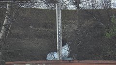 view from Alpe di Mera - Nivometro on 2026-04-26