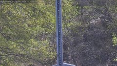 view from Alpe di Mera - Nivometro on 2026-05-16