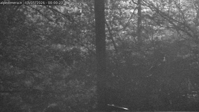 time-lapse frame, Alpe di Mera - Nivometro webcam
