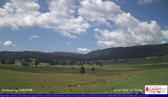 view from Pian Cansiglio - Agriturismo Malga Filippon on 2026-07-22