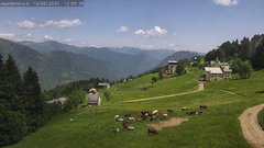view from Alpe di Mera - Mera bassa on 2025-06-16