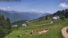 view from Alpe di Mera - Mera bassa on 2025-06-19
