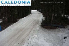 view from CNSC_4: Picadilly Access on 2026-04-06