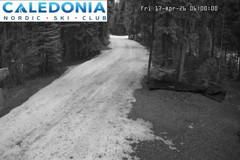 view from CNSC_4: Picadilly Access on 2026-04-17