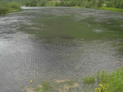 view from Borgundseelva on 2025-06-16