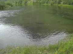 view from Borgundseelva on 2025-06-20
