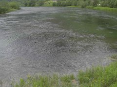 view from Borgundseelva on 2025-06-25