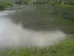 view from Borgundseelva on 2025-07-02