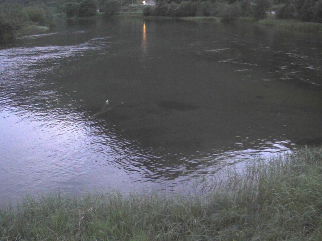 time-lapse frame, Borgundseelva webcam
