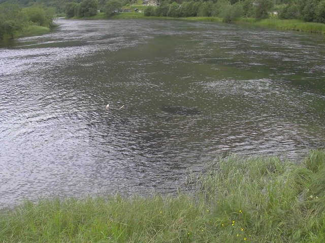 time-lapse frame, Borgundseelva webcam
