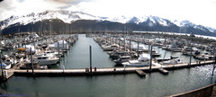view from Seward Harbor on 2025-05-19